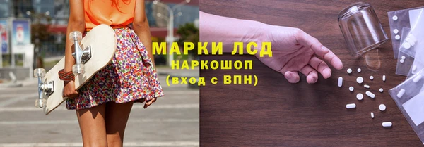 индика Баксан