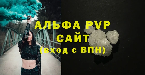 индика Баксан