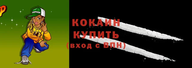 индика Баксан