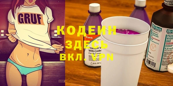 индика Баксан
