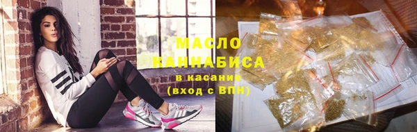 индика Баксан