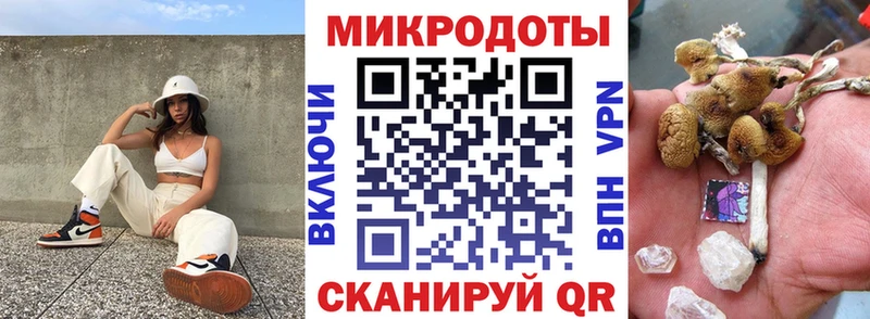 как найти закладки  Вельск  Галлюциногенные грибы мицелий 